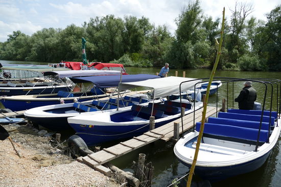 Ein Ausflug mit dem Boot in den "Amazonas Rumäniens" ist ein unbeschreibliches Erlebnis.