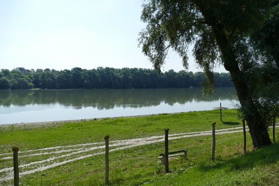 Der Donau-Seitenarm direkt hinter dem Campingplatz Pap-Sziget