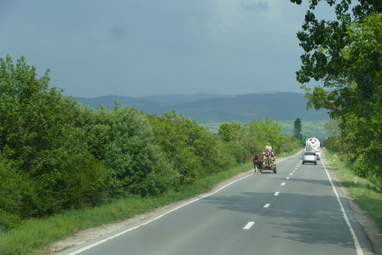 Die ersten Pferdefuhrwerke sind auch schon zu sehen