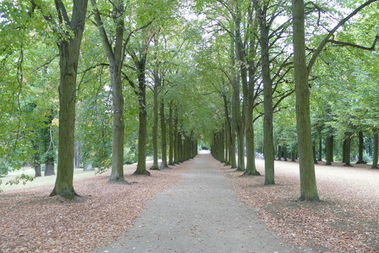 Die Alleen wirken nach dem trockenen Sommer schon sehr herbstlich