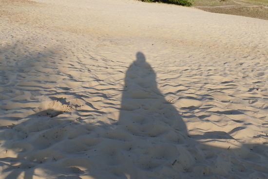 Eine große Buddelkiste - die Binnendünen von Altwarp