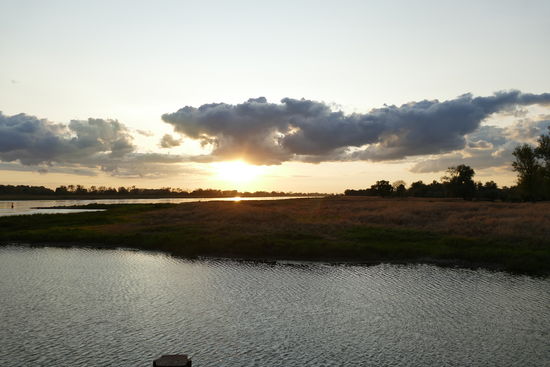 Abendstimmung an der Oder