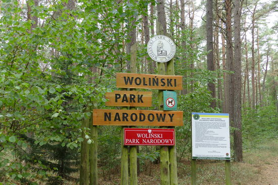 Der Nationalpark auf der Insel Wolin - wunderschön
