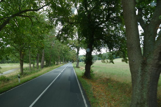 Die Insel Usedom empfängt uns mit schönen Alleenstraßen