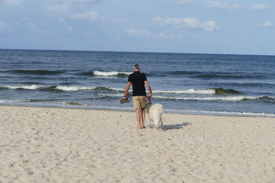 Der alte Mann, sein Hund und das Meer 