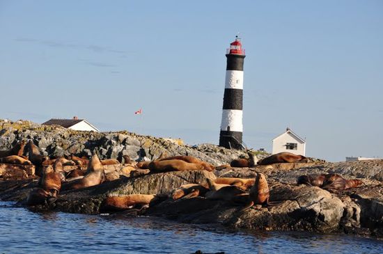 Robben gabs ziiieeemlich viele...