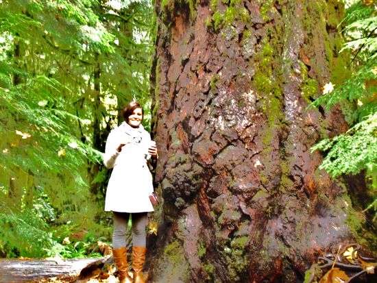 Manche waren schon ziemlich fett - dieser hier war mein Lieblingsbaum. Er hatt ne Wurzel worauf der Starbucksbecher perfekt gestanden is  Ich hab ihn Frank getauft - Den Baum, nicht den Becher