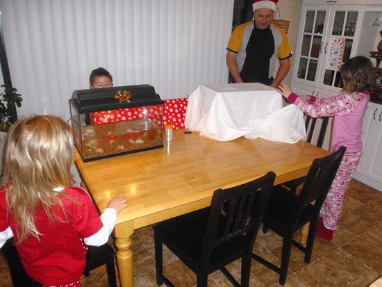Fuer jeden gabs EIN geschenk von Santa... Savannah got fish, Keanu got Carstuff and Makayla... a hamsti