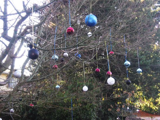 Einer der Baeume vor unserem Haus hier in Kanada