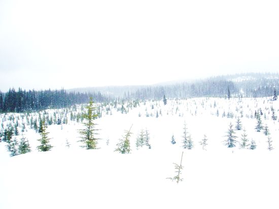 Das unendliche Nichts...