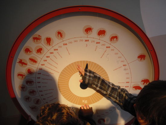 wenn wir uns alle 5 auf die waage stellen dann waeren wir gemeinsam so schwer wie ein tiger... uiiiiiii. wenn ich mich alleine raufstell waer ich so schwer wie ein nilpferd... ? it doenst make sence mister