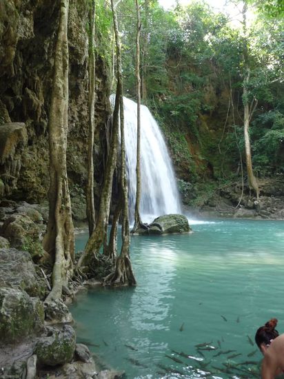 3. Stufe; Fische; Dani