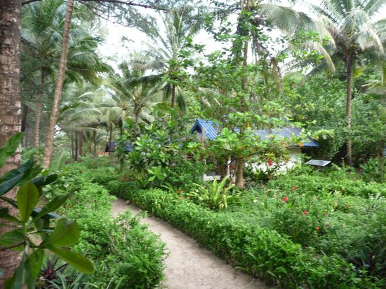 unser neuer Bungalow im Phayam Coconut Beach Resort