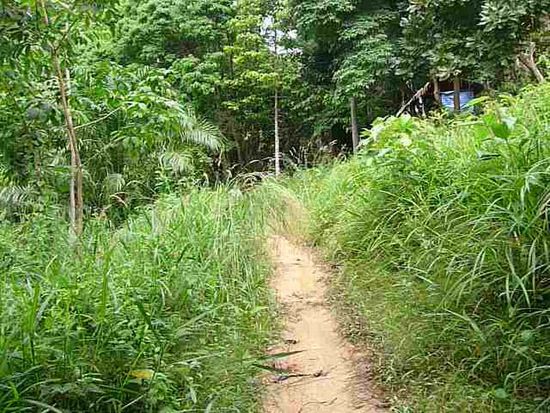 Nebenstrasse auf Koh Phayam