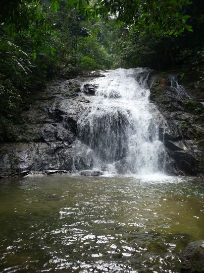 sieht hier irgendwie mickrig aus, war aber schon hoch