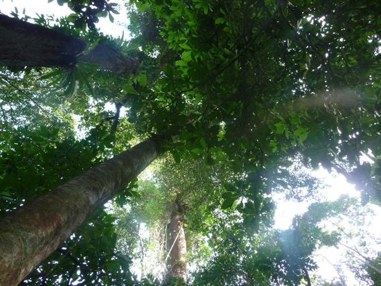 Blick nach oben auf dem Weg zum Strand