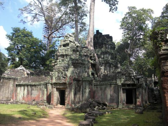Ta Prohm - die Stelle mit der berühmten Wurzel war allerdings etwas voller 