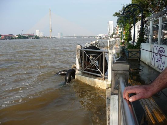 nicht mehr viel Platz fuer noch mehr Wasser