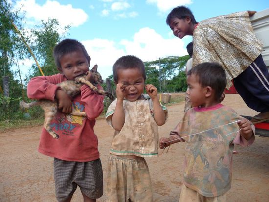 kleine Dreckspatzen mit Haustier, laotische Katzen müssen einiges aushalten - man was geht es unserm Fossa zu Hause gut