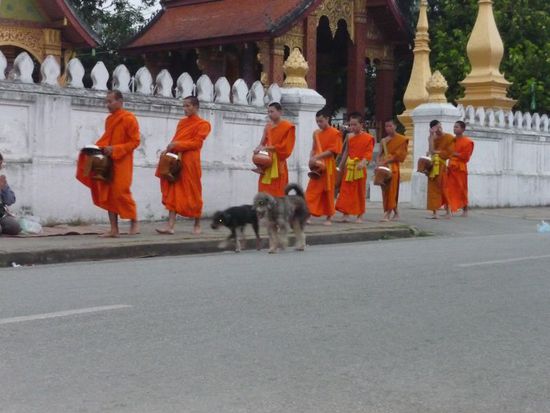 genau gegenüber von unserm Guesthouse