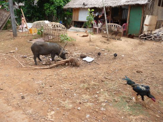 Dorfleben in Laos