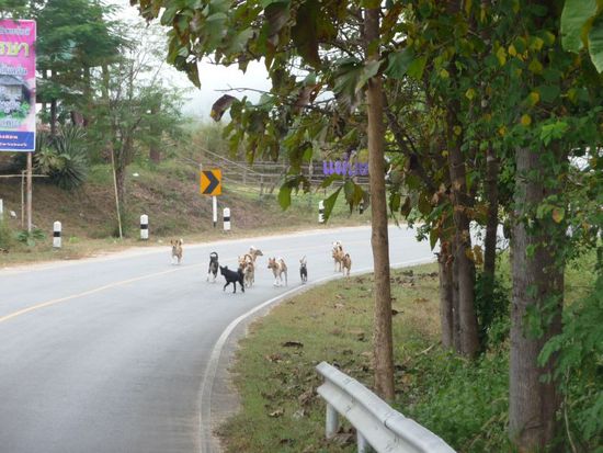 wir werden verfolgt!!!!