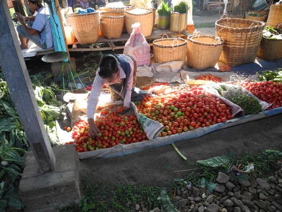 die Tomaten werden hier in schwimmenden Gärten angebaut