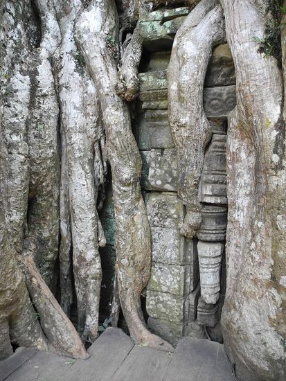 Ta Prohm