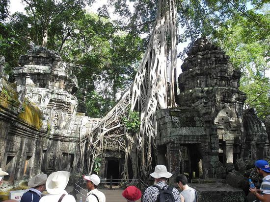 Ta Prohm