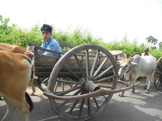 unterwegs in Kambodscha