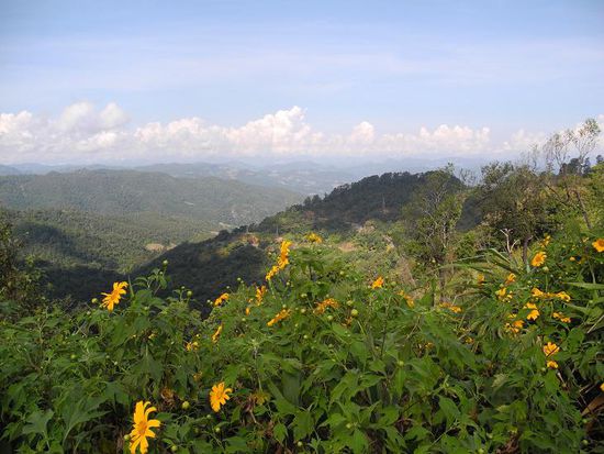 ganz oben auf dem Pass