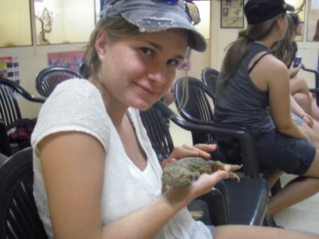 Bearded Dragon - Name kommt davon, weil er einen "schwarzen Bart" bekommt, wenn er auf der Suche nach einem Weibchen ist.