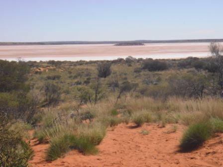 Ein Salzwassersee mitten im Outback.