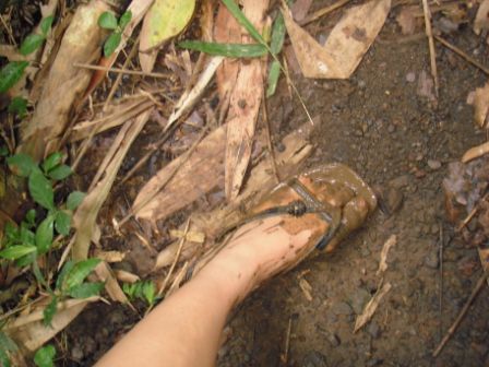 Beste Schuhausstattung - FlipFlops aus Plastik