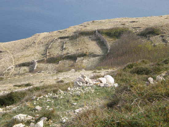 Hier wächst wirklich nicht viel, und was wächst, wird von Ziegen und Schafen abgeweidet.