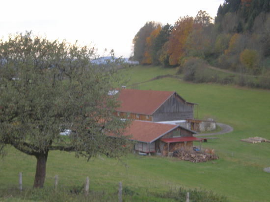 Rückweg über Route 2 zur Argentalbrücke