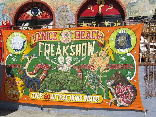 die Schildkröte haben wir schon gesehen 