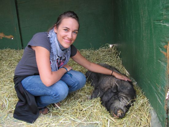 mein allerliebstes Wunschhaustier