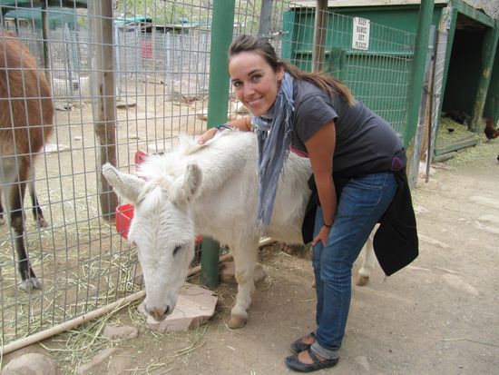 Mini-Esel, also links