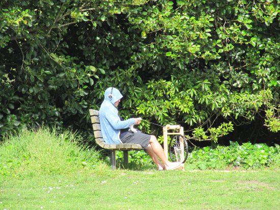 jo, da spinnt halt mal wer mit mp3s im Ohr im Park, warum nicht?