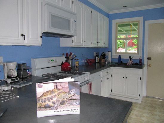 Evan, the russian tortoise  (Die Nachbarin von Andrea hat ihr dieses tolle Buch über ihr Haustier zukommen lassen  )