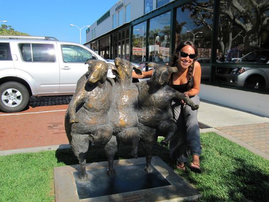 ich wage ein Taenzchen mit den Schafen