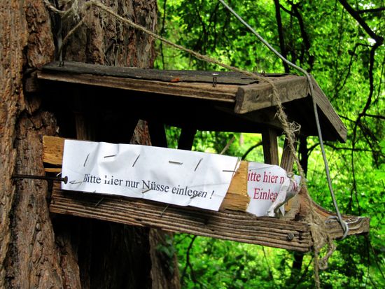 sogar was ins Vogelhaus kommt wird vorgeschrieben.... 