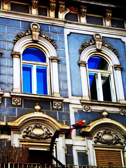 der Plastikpapagei erfreut mein Herz immer wieder aufs Neue 