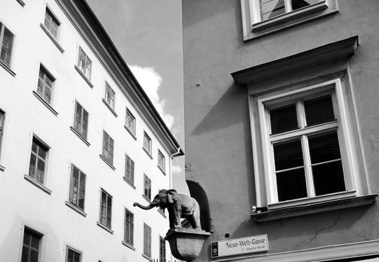 9 Jahre in dieser Stadt, den Elefanten zuvor aber nie gesehn