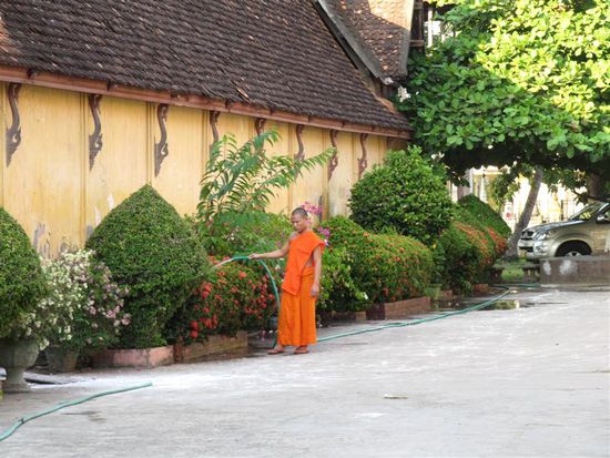 Asu der Reihe: Katja fotografiert Moenche