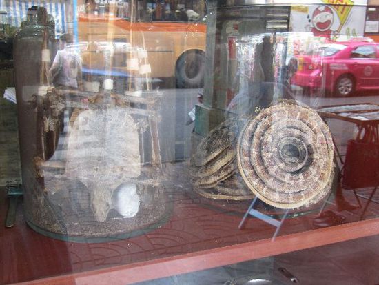 Apotheken-Schaufenster