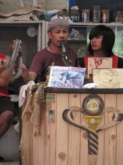 unser super Moderator - he cn bite cobra or cobra bite him - fifty fifty
Der Emo rechts hinten hatte die Springschlange zuer Verfuegung