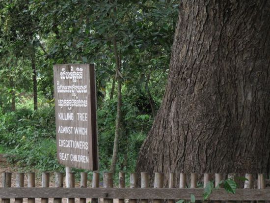 das ist ueberhaupt das Furchtbarste. Die Khmer Rouge töteten gleich ganze Familien, damit sie keine Nachkömmlinge hatten, die Rache üben könnten. So wurden zum Beispiel auch Babies an den Füßen gepackt und gegen diesen Baum geknallt.