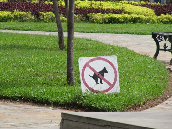 Bitte keine Kackhaltung einnehmen